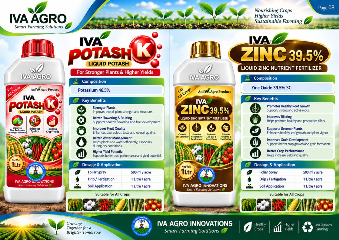 Liquid potash and liquid zinc nutrient fertilizer